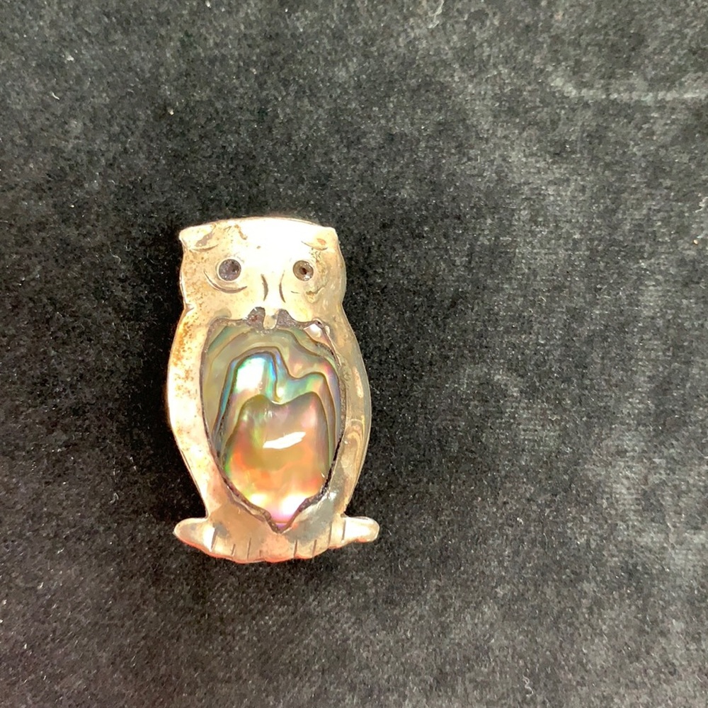 Owl in silver and abalone pin